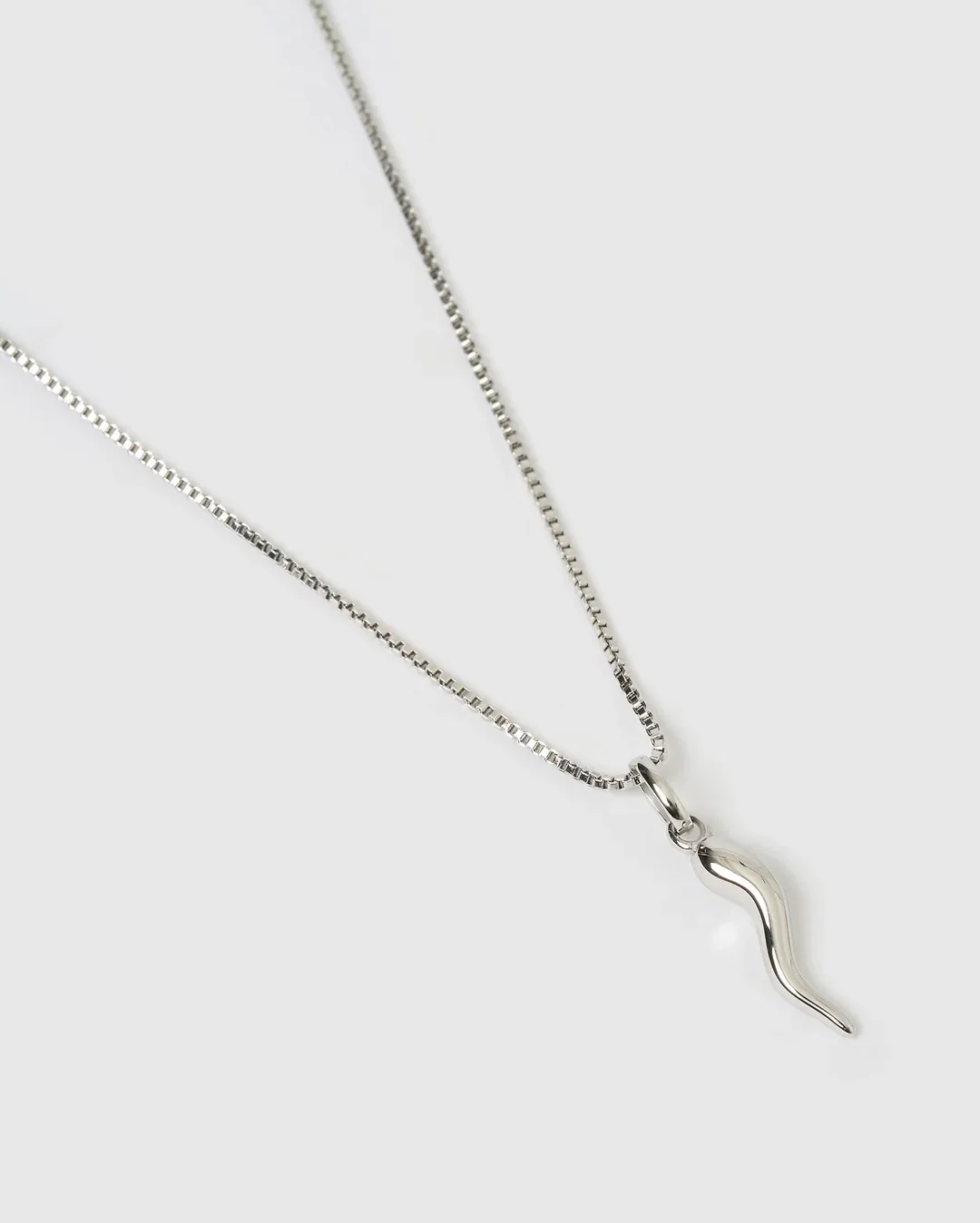 Cornicello Silver Charm Necklace - Silver - Image 3